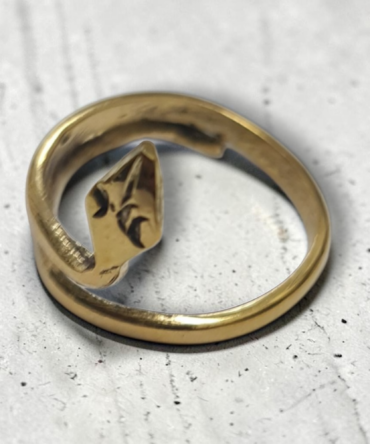 Anillo de protección , Vodun Akassel ,espíritu de la serpiente, Vodoun Fon de Benín