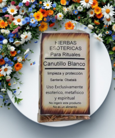 Hierbas Canutillo blanco