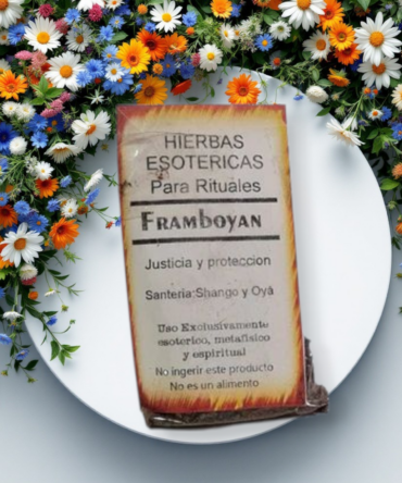 Framboyan