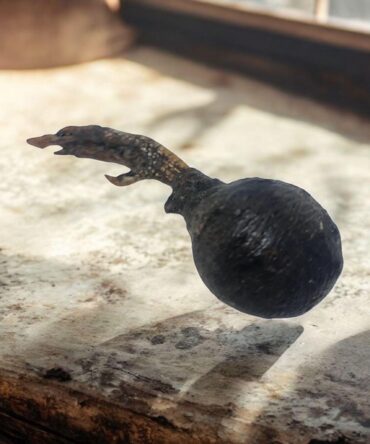 African protection against weapons , secrets of African vodun