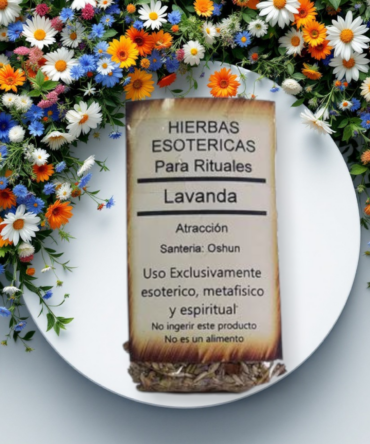 Lavanda