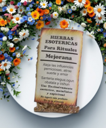 mejorana