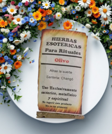 Hoja de olivo