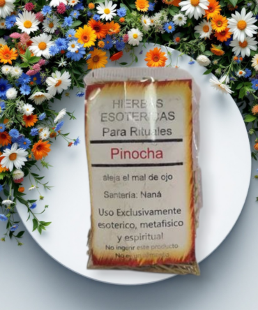 Hierba Pinocha
