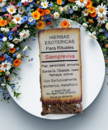 Hierba Siempre viva