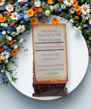 Hierba Albahaca morada