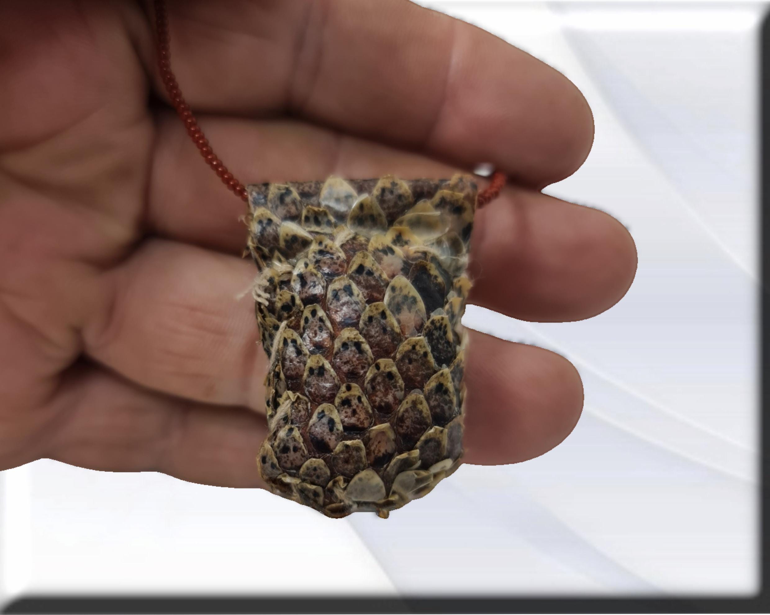 Snake amulet, attracting women, secrets of African vodun - Imagen 2