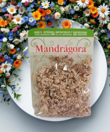 Raiz Mandragora