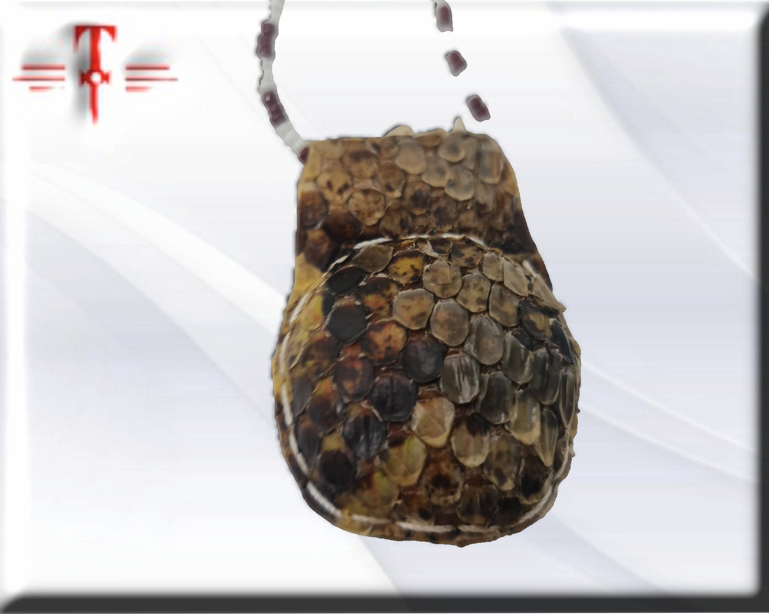 Amuleto serpiente Africano proteccion malos espiritus , Templo de la pitón , secretos del vodun , arte tradicional africano - Imagen 3