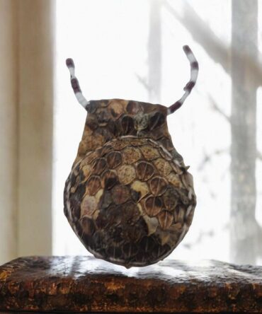 Amuleto serpiente Africano Proteccion brujeria , Templo de la pitón , secretos del vodun , arte tradicional africano