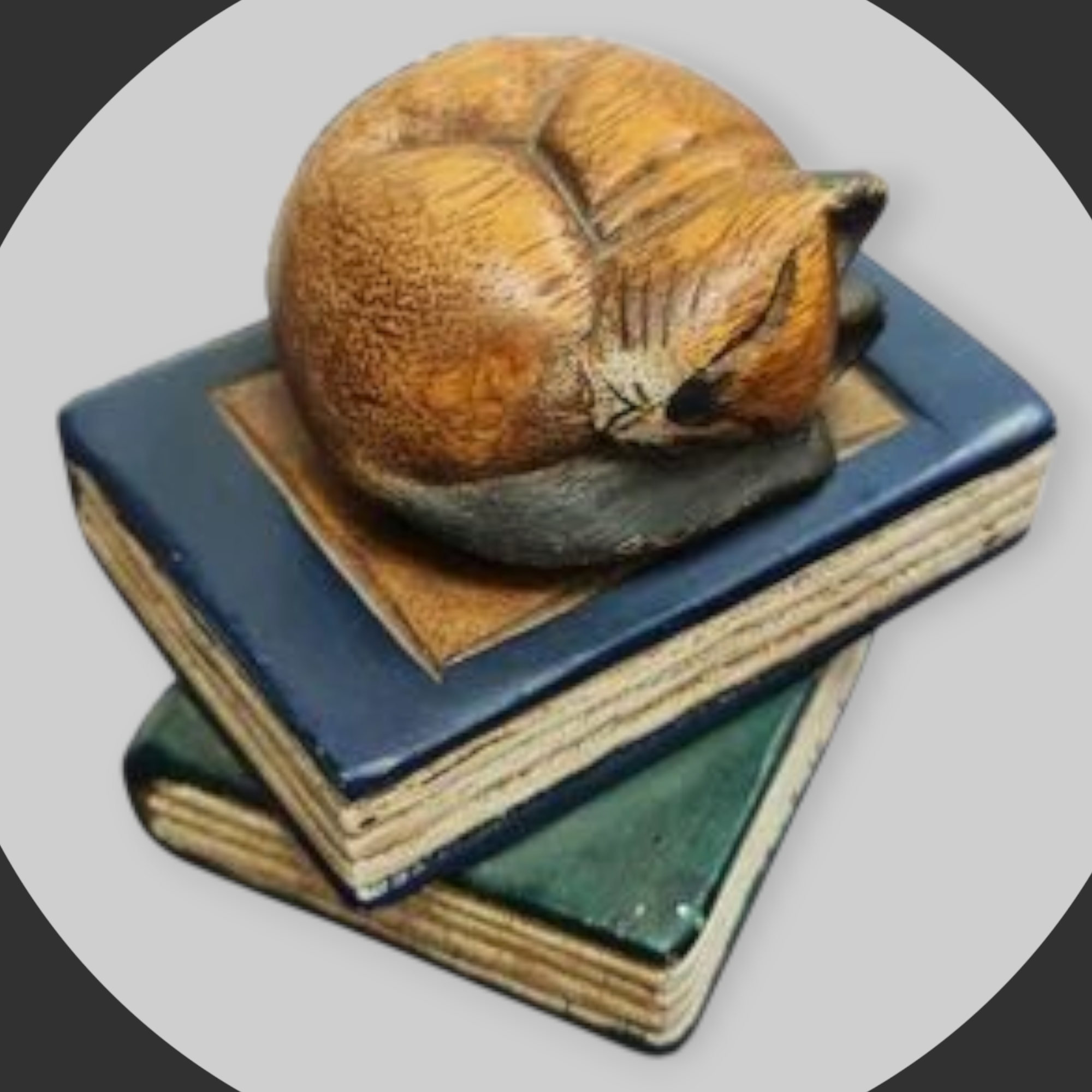 gato con libro - Imagen 2