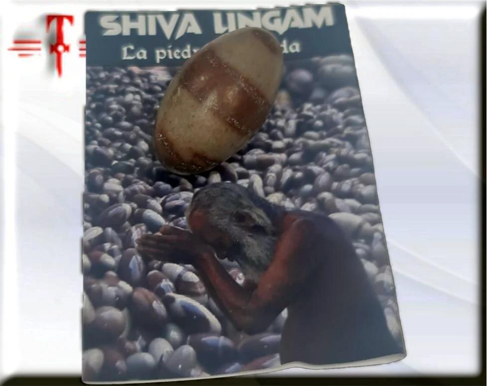 piedra sagrada Shiva Lingam - Imagen 2