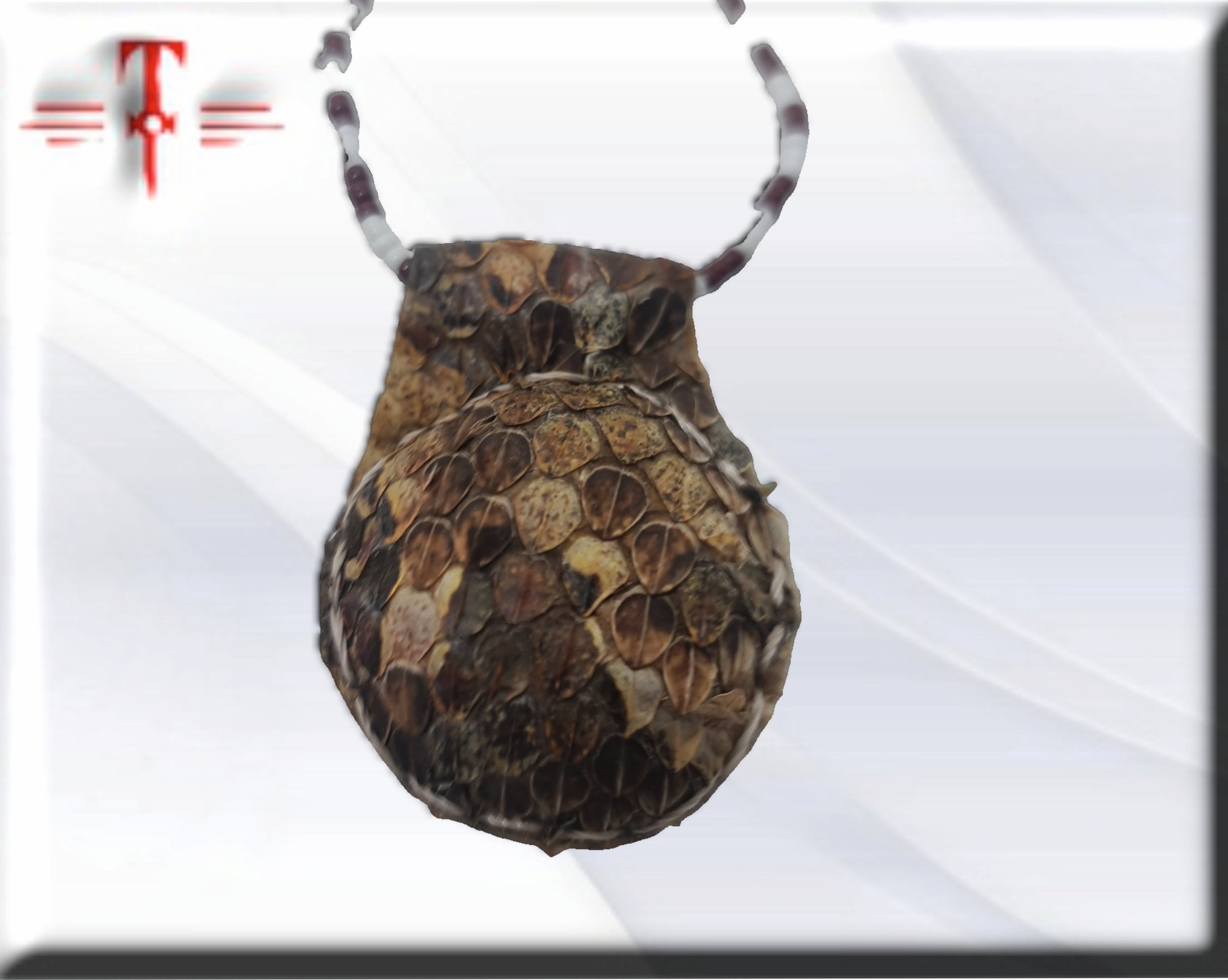 Amuleto serpiente Africano Proteccion brujeria , Templo de la pitón , secretos del vodun , arte tradicional africano - Imagen 2
