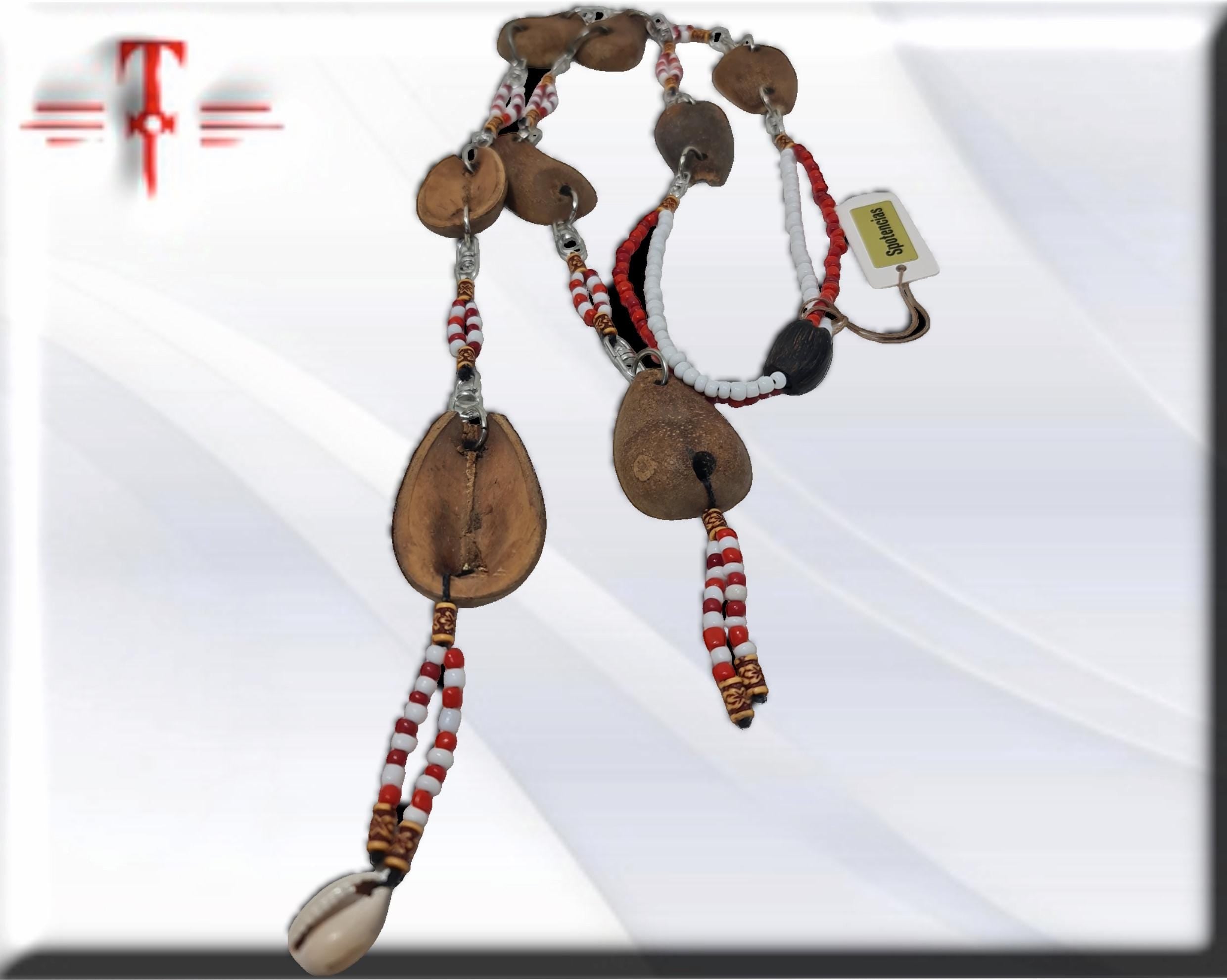 ekuele africano, Shango , semilla de Ifá, opele egbere. santería Babalawo - Imagen 4