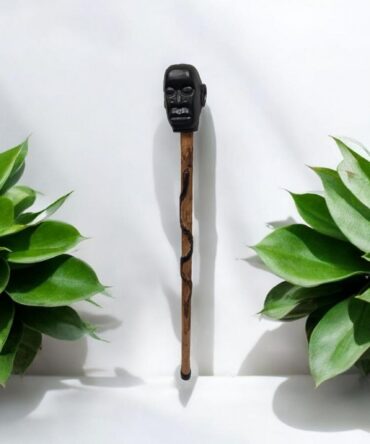 Bastón de carga Eggun africano con serpiente , santería , Palo Mayombe , voodoo