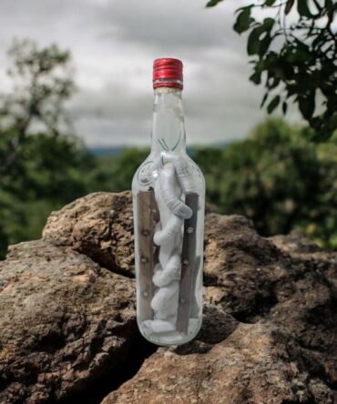Botella Mágica Vodun Dan , evolucion economica , negocios, fortuna , secretos del vodun