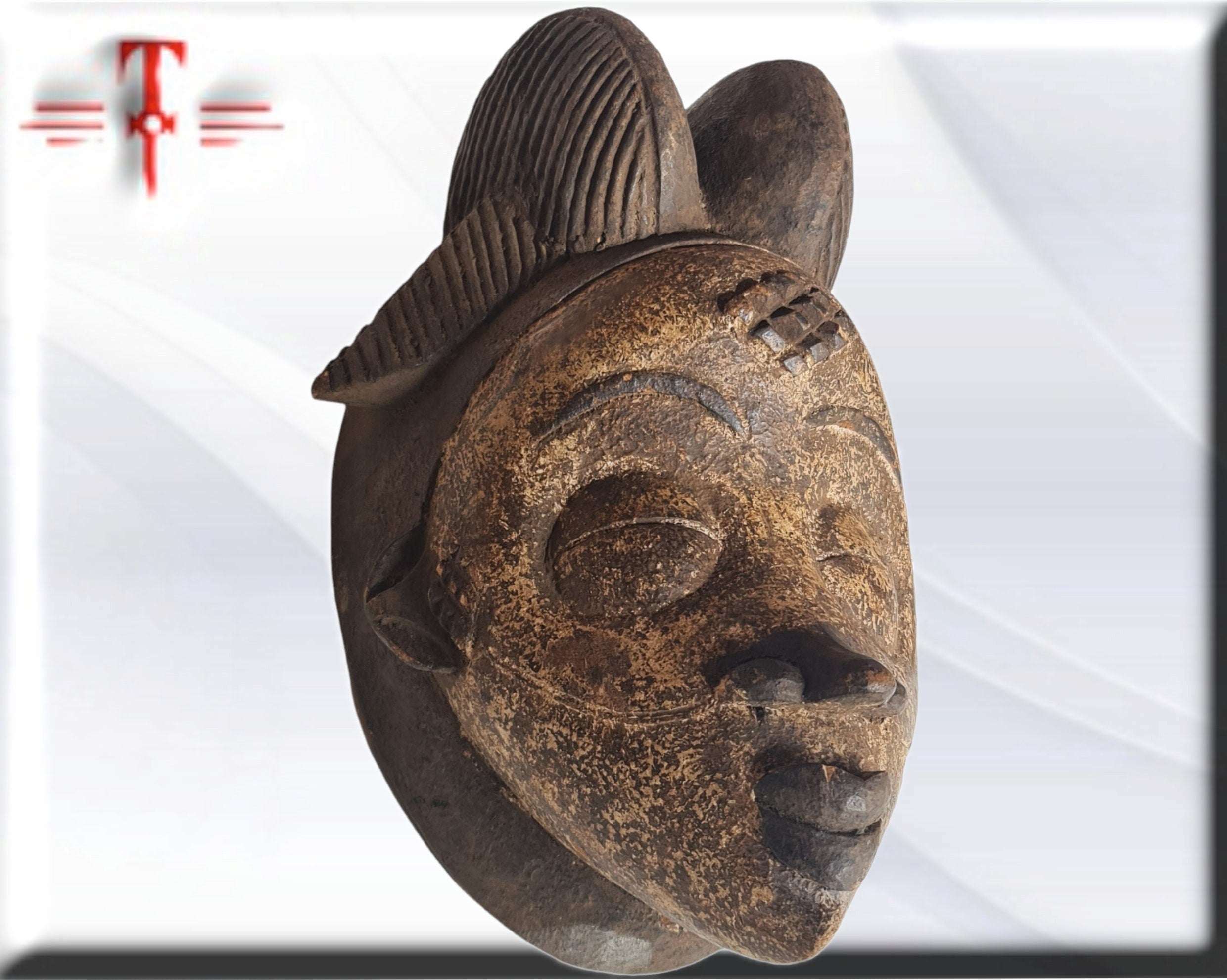 Máscara Antigua Punu (Gabón) – Arte Africano del Siglo XX (33 cm) - Image 3